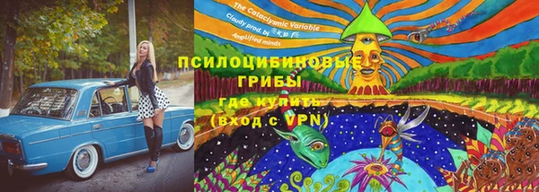 бошки Пролетарск