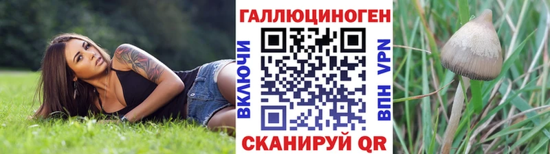 Галлюциногенные грибы мицелий  Купить  Ельня 
